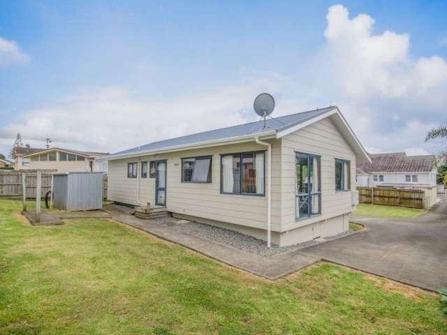 42a Rimu Street New Lynn_4