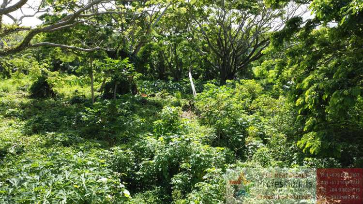 Address withheld Taveuni_12