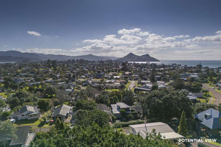 31 Mount Avenue Pauanui_10