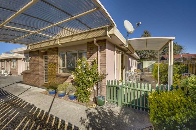 3/427 Gloucester Street Taradale_8