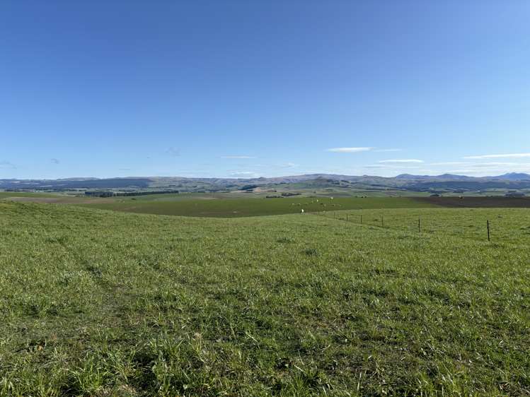 Round Hill Road Five Forks and Surrounds_11