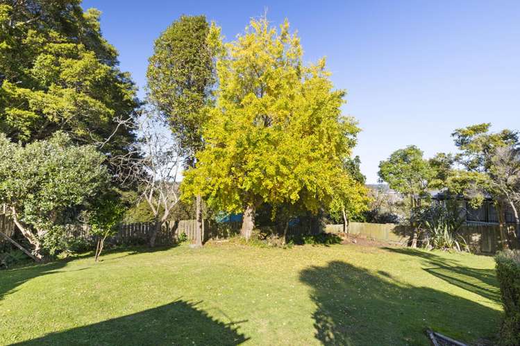 50 Harrisville Road Tuakau_25