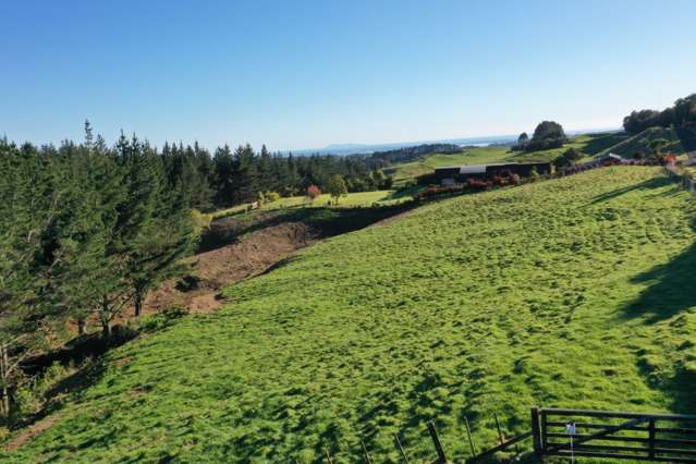 95 Te Kohanga Road Whakamarama_1