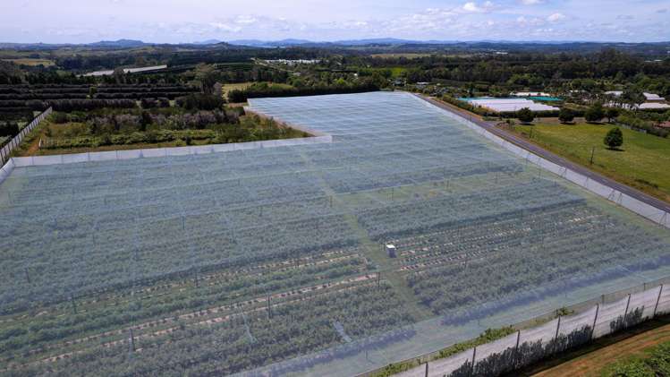 147 Stanners Road and 89 Kapiro Road Kerikeri_8