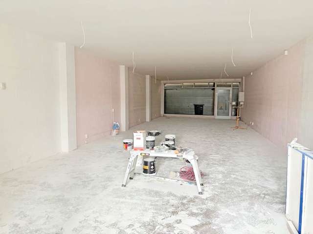 14 Clifton Court Panmure_1