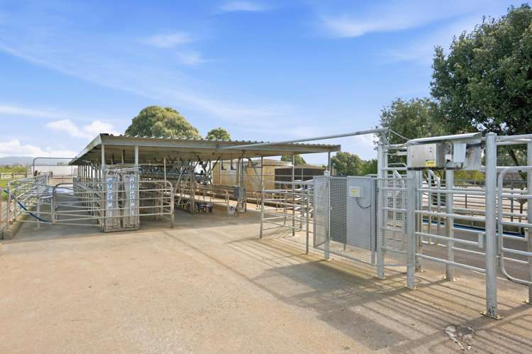 2 Gardiner Place Pukehina_12