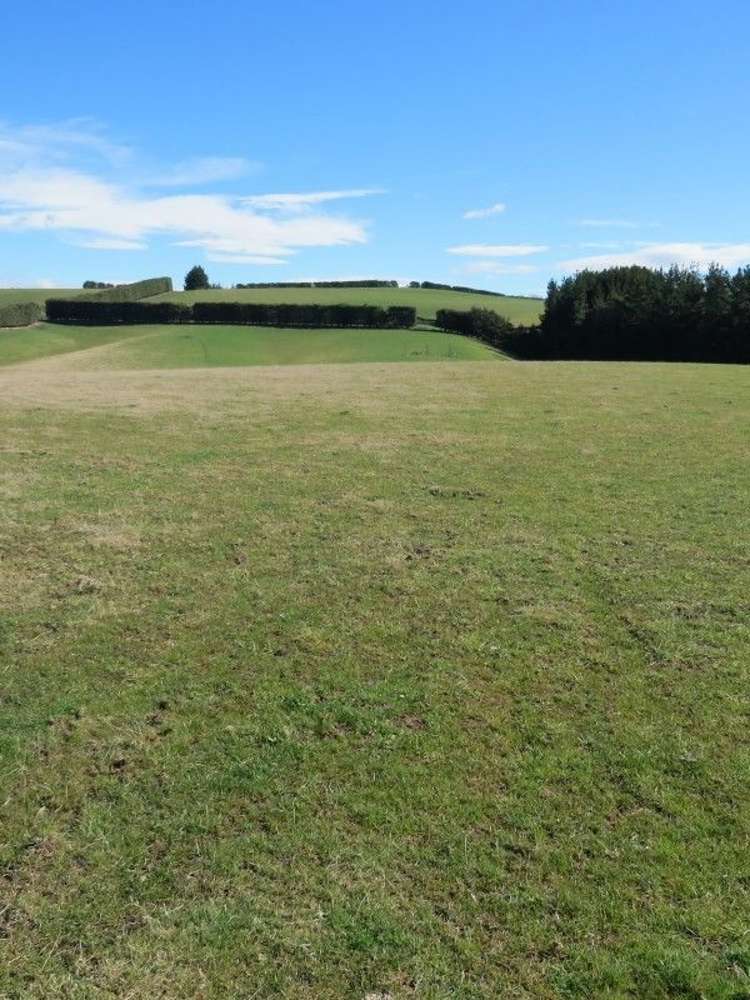 649 Kauru Hill Road Five Forks and Surrounds_20