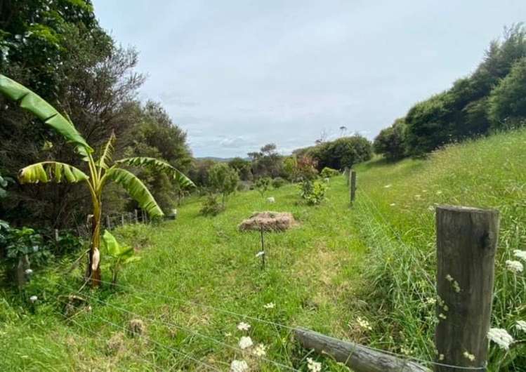 200 Martin Access Road Makarau_29