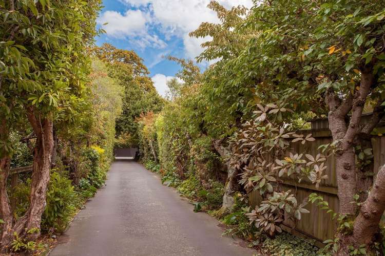 230a Clyde Road Burnside_23