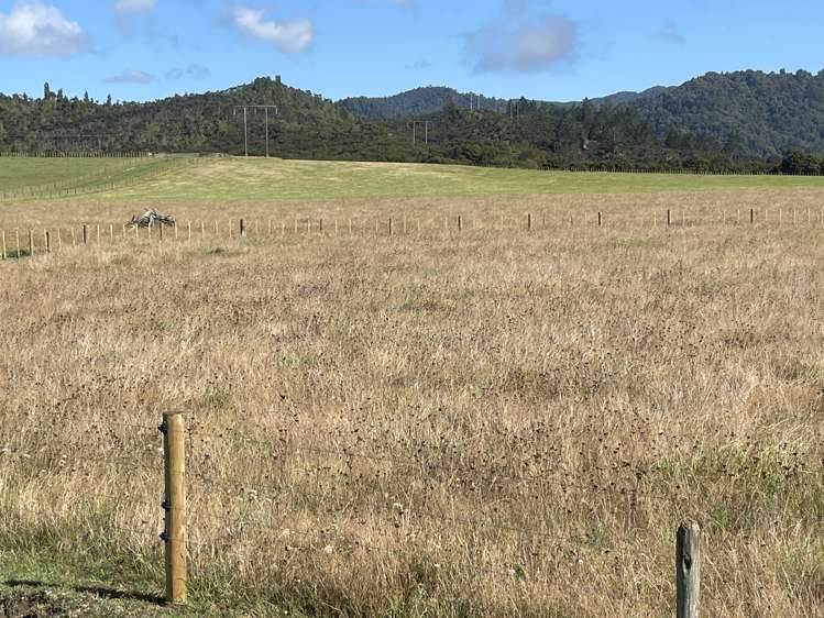 4321 State Highway 1 Mangamuka_5