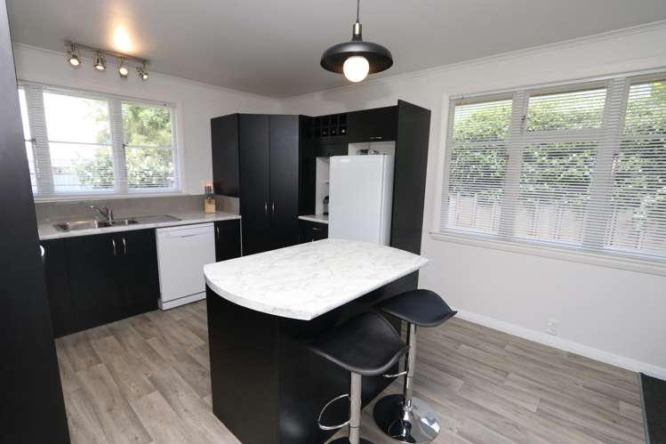 91 George Street Tinwald_6