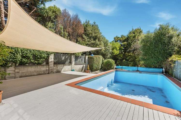 31 Aynsley Terrace Hillsborough_5