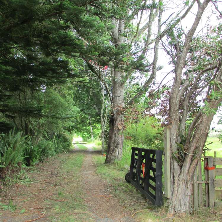 303 Totara North Road Kaeo_1