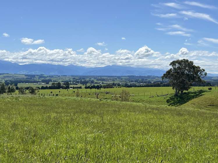 69 Southdown Drive Martinborough_21