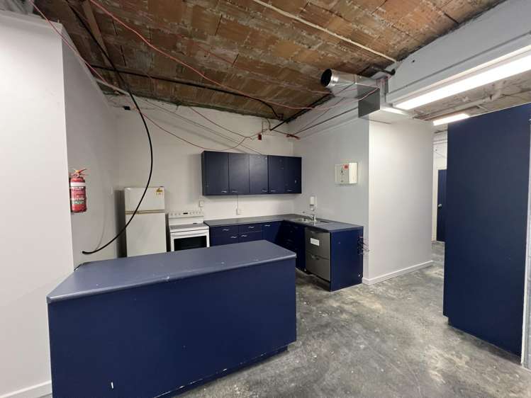 1/16 Kent Terrace Mt Victoria_3