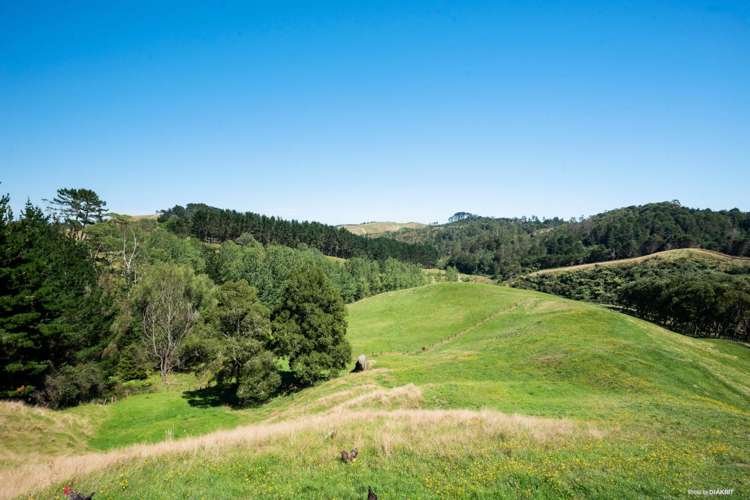 878 Waikaretu Valley Road Glen Murray_8