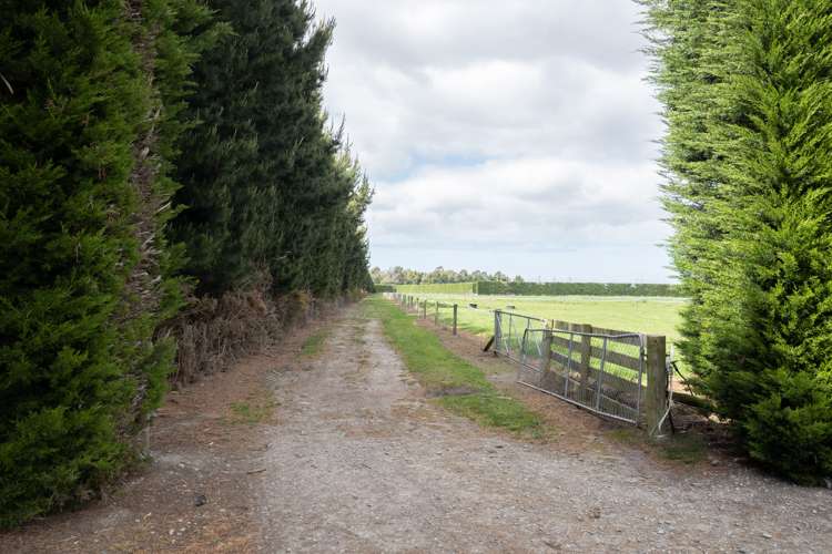 569 Wakanui Road Elgin_12