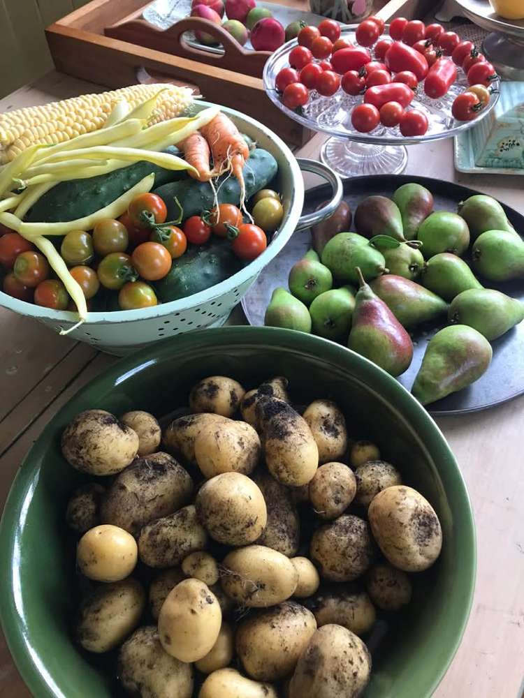 2239B State Highway 12 Paparoa_27