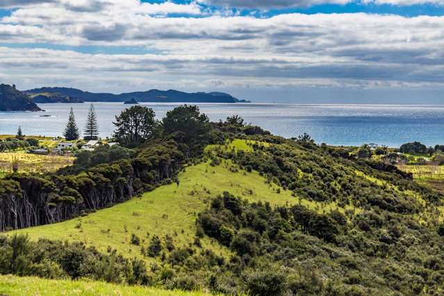 39 Sandhills Road Great Barrier Island (Aotea Island)_3