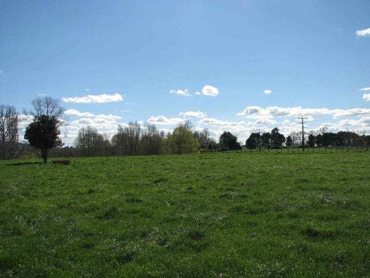 State Highway 27 Matamata_3