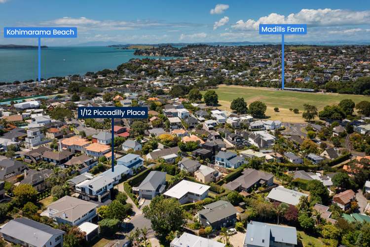 1/12 Piccadilly Place Kohimarama_13