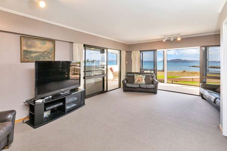 14 Albany Road One Tree Point_17