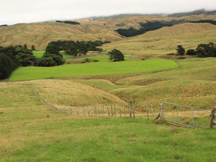 912 Range Road Pongaroa_0