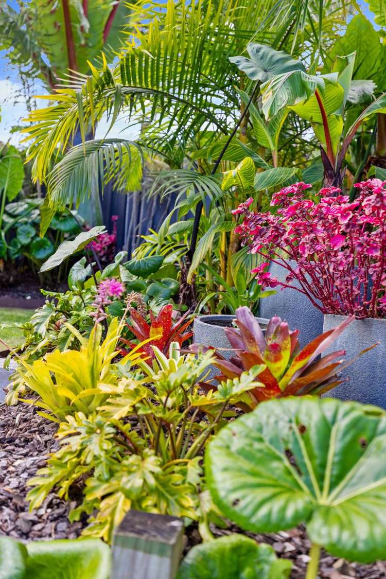 155 Sixteenth Avenue Tauranga South_49