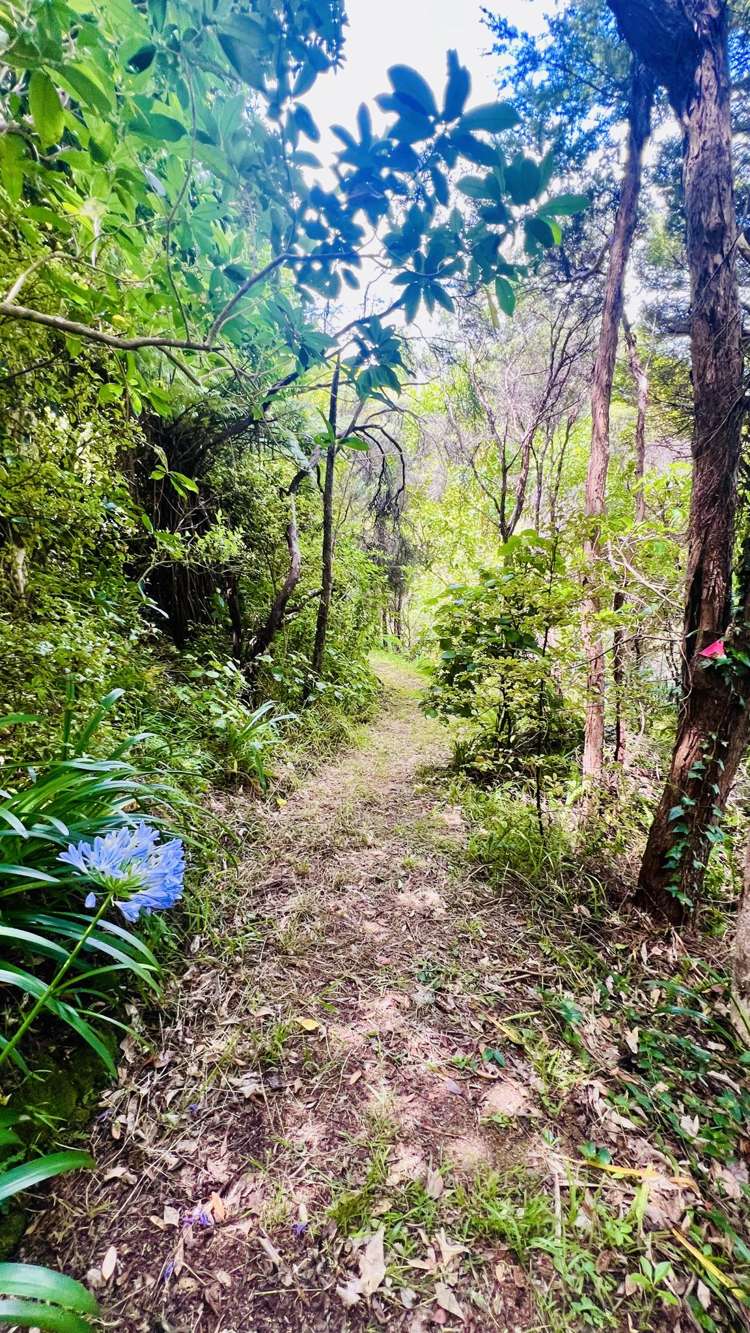 1695 Wyuna Bay Road Wyuna Bay_40