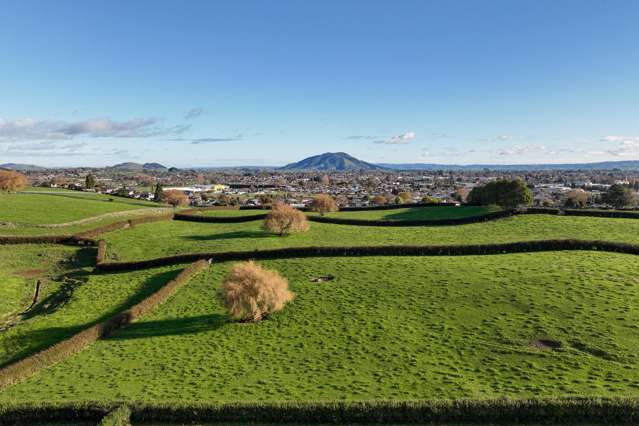 Picquet Hill Road Te Awamutu_3