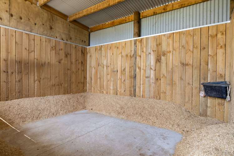 603 Tenfoot Road Taupiri_18