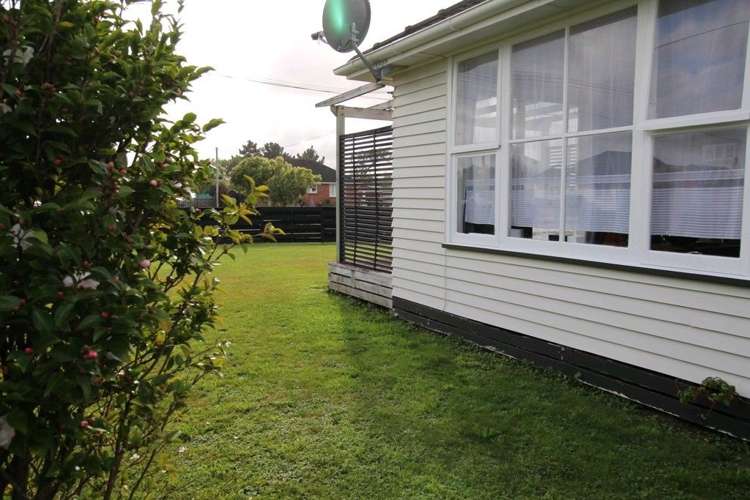 20 Ward Street Bulls_31