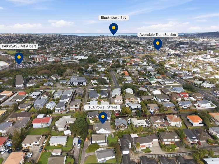 16A Powell Street Avondale_26