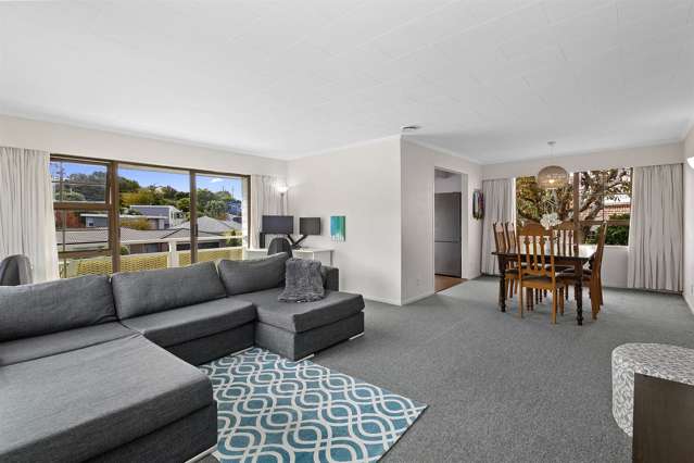 32 Collins Avenue Tawa_4