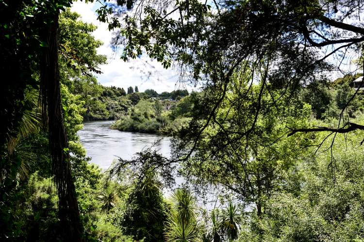 11 River Oaks Place Pukete_17