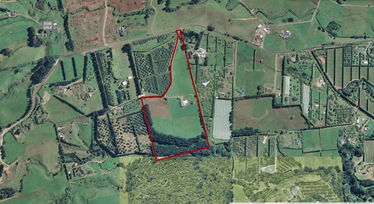 291 Rea Road Hauraki Surrounds_21