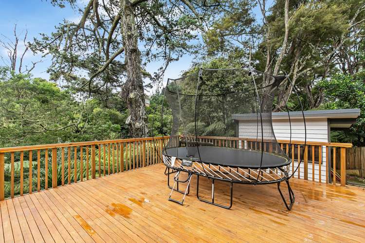 80a Spinella Drive Bayview_11