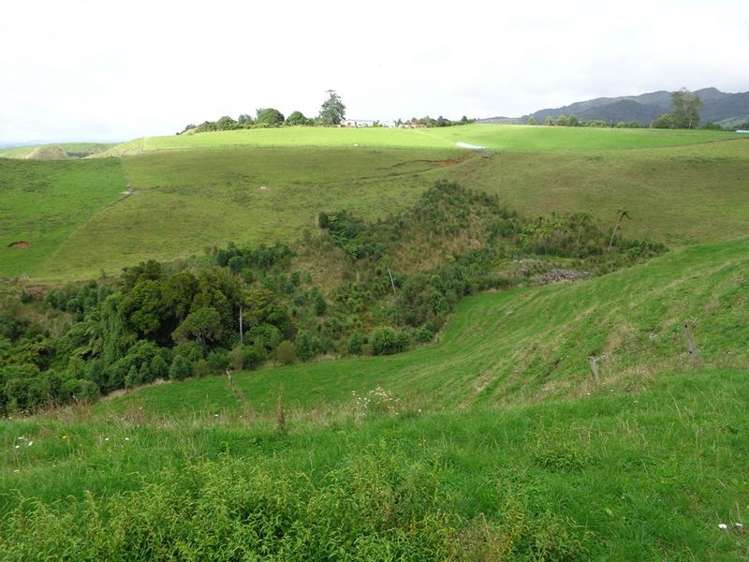 239 Roberts Road Cambridge_2