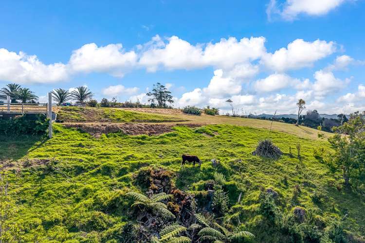 68 Kiwi Bush Lane Ngunguru_29