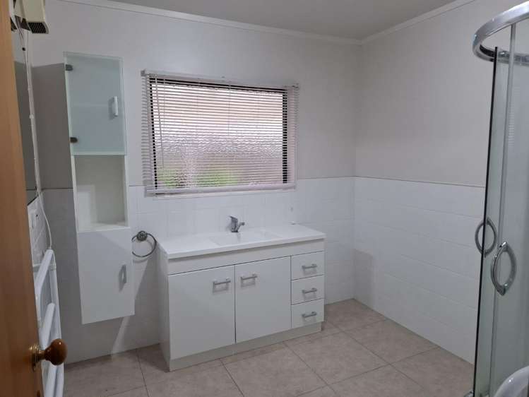 56 Tennyson Street 1093_8