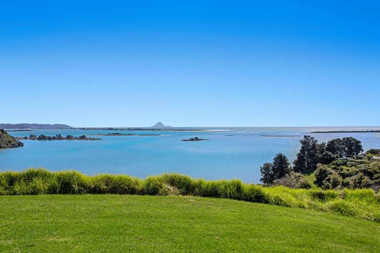 65b Reeves Road Opotiki and Surrounds_10