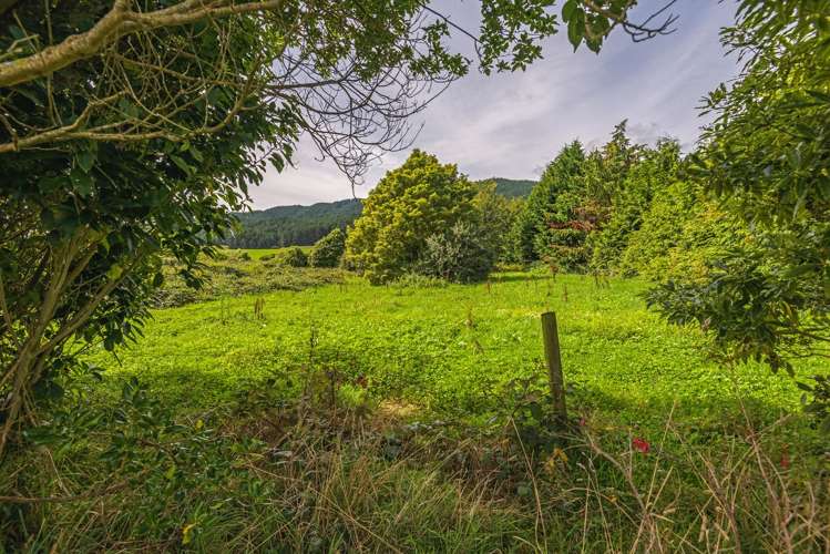 295A North Manakau Road_5