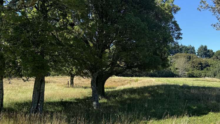 Waiohine Gorge Road Carterton_6