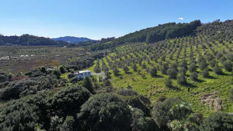 105 Frantoio Ridge Road Mangonui_8