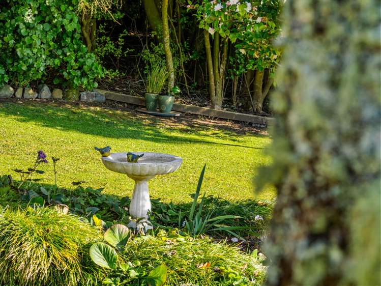 533 Wainui South Road Whakamarama_28