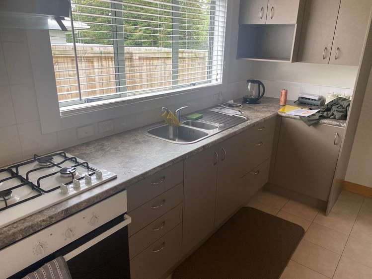 24B Walker Street Waihi_15