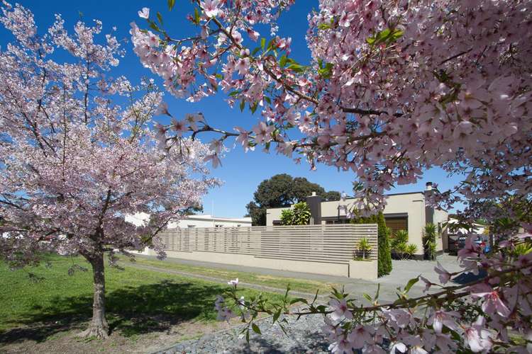 30 Georges Drive Napier South_10