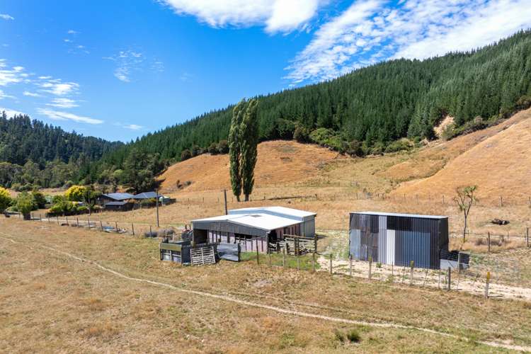 407 Onamalutu Road Wairau Valley_48