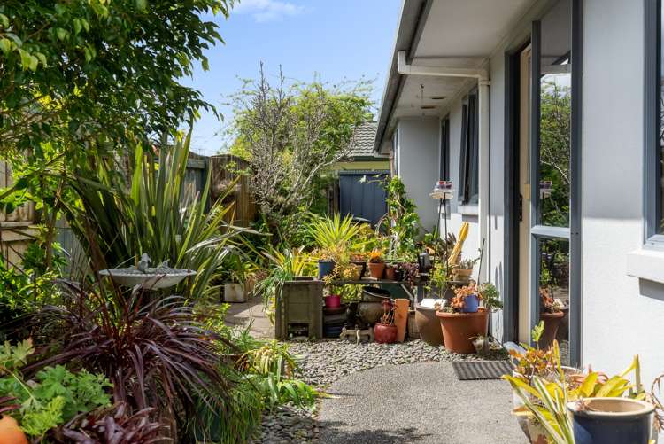 1 Appaloosa Place Papamoa_16