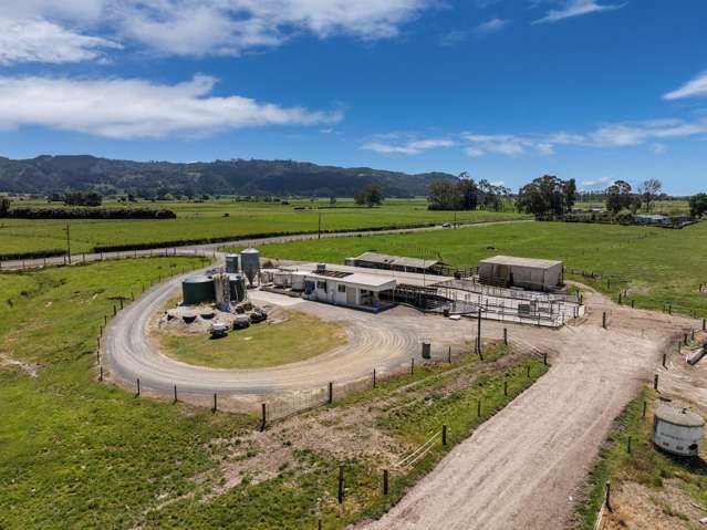 172 Sutherland Road Matata_1
